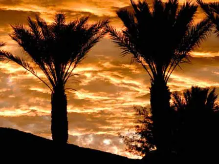 Arizona Sunset Pictures 9