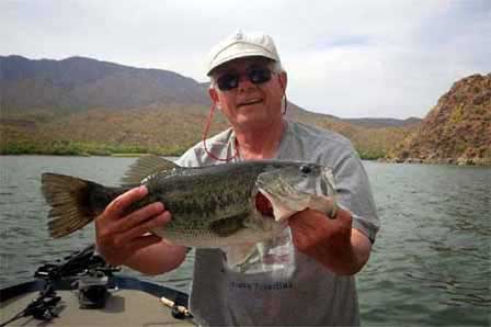 Photo of 4lb Largemouth Bass caught by Rick Seaman at Apache Lake