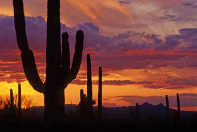 Photo of Arizona Sunset