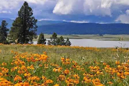 Big Lake Near Springerville Arizona In The White Mountains