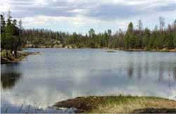 Black Canyon Lake