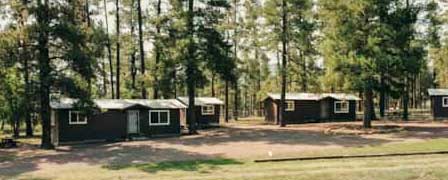 Meadows Edge Cabins vacation rentals in Alpine Arizona