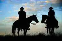 Cowboys On The Trail