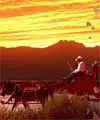 Cowboy Christmas - Rawhide at Wild Horse Pass