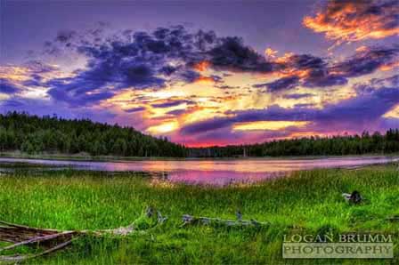 Photo of Scholz Lake, Flagstaff Arizona