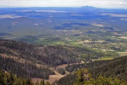 View From Humphreys Peak Trail