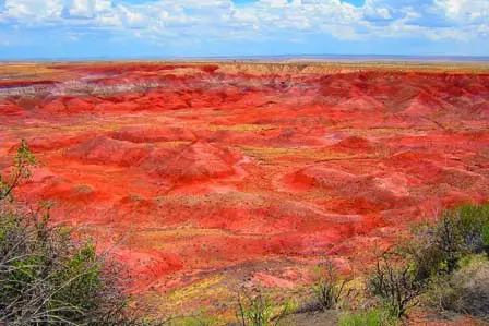 Painted Desert 14