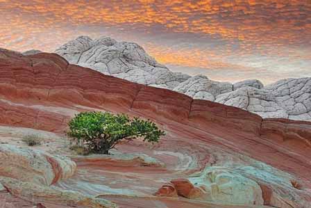 Painted Desert 2