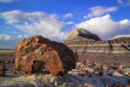 Painted Desert 4