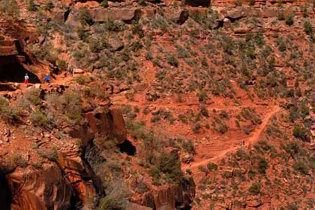 Hikers on the Trail Picture