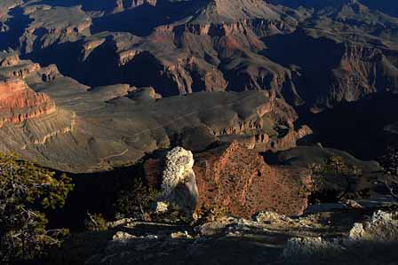 View From Mather Point