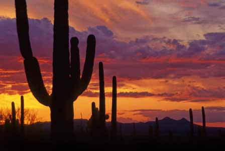 Arizona Sunset Pictures 5