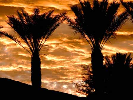 Arizona Sunset Pictures 9