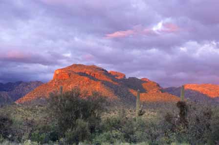 Arizona Sunset Pictures 11