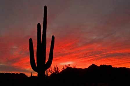 Arizona Sunset Pictures 15