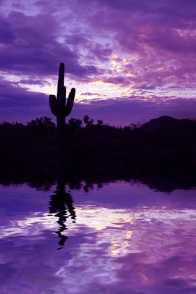 Arizona Sunset Pictures 21