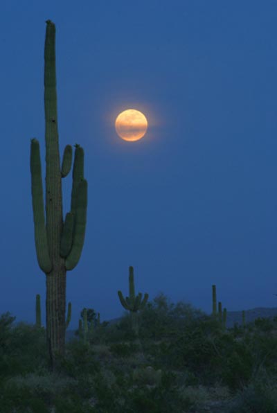 Arizona Sunset Pictures 25