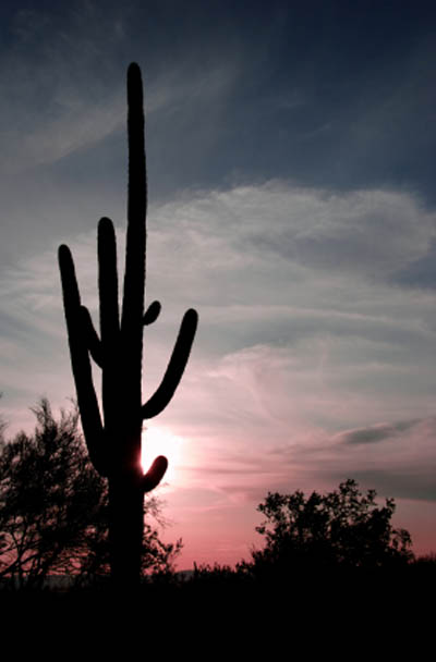 Arizona Sunset Pictures 27