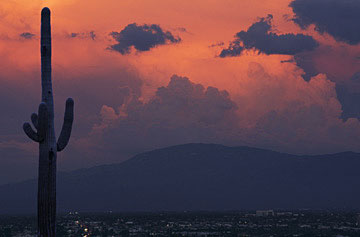 Tucson Area Photo City Sunset