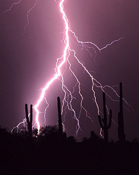 Tucson Area Photo Desert Storm