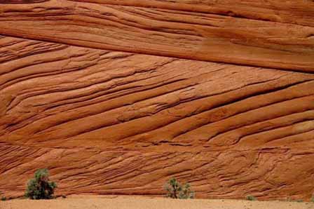 Picture of Vermillion Cliffs - Buckskin Gulch Trail