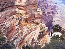 Switchbacks On The Kaibab Trail