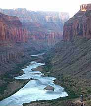 A View From Atop the Cliffs overlooking The Grand Canyon