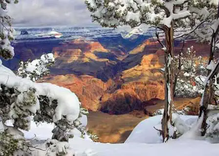 Picture of Winter at Grand Canyon