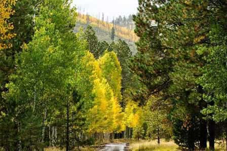 Picture Near Humphrey Trailhead