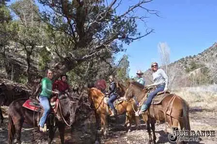 Photo of Horseback Riding at Josh Ranch