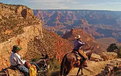 Optional Mule Rides Into The Grand Canyon