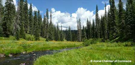 Photo of Alpine, Arizona