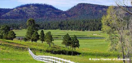 Alpine Arizona | White Mountains AZ