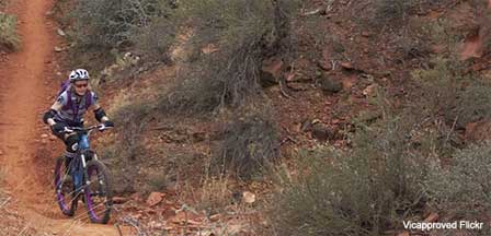 Biking In Arizona