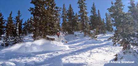 Picture of Arizona Snowbowl at San Francisco Peaks in Flagstaff, Arizona