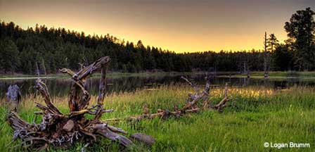 Pictures of Flagstaff Arizona By Logan Brumm