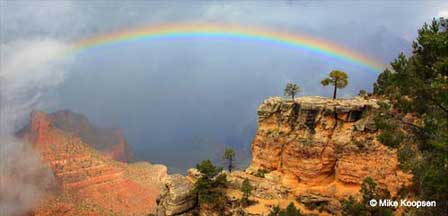 Pictures of Big Horn Mountain Sheep at Grand Canyon