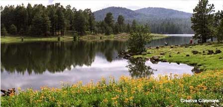 Hawley Lake