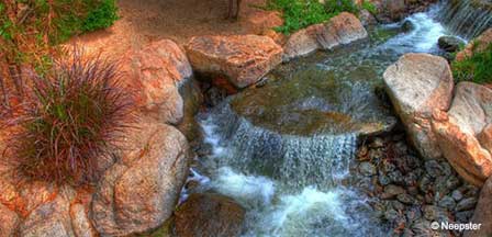 Phoenix AZ Japanese Friendship Garden