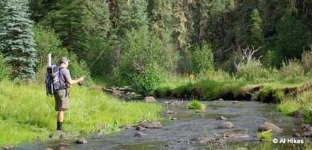 Little Colorado River In The White Mountains