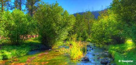 Little Colorado River in the White Mountains