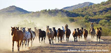 Rancho De Los Caballeros