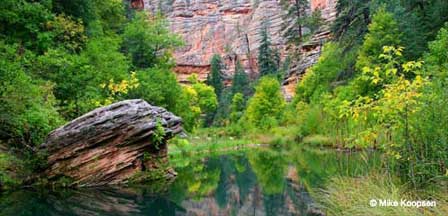 Sedona Picture