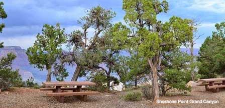 Picture of Shoshone Point at Grand Canyon South Rim