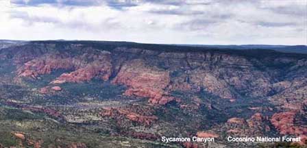 Photo of Sycamore Canyon Arizona