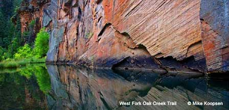 Picture Along West Fork Oak Creek Trail at Oak Creek Canyon
