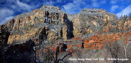 Picture Along West Fork Oak Creek Trail at Oak Creek Canyon
