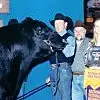 Phoenix Events - Arizona National Livestock Show