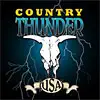 Phoenix Events - Country Thunder Music Festival