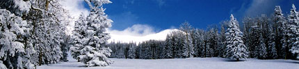 Flagstaff Arizona Snow Scene